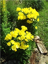 b295a225-Picture 014.jpg